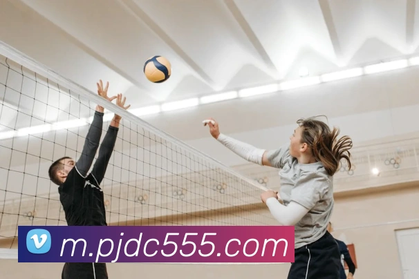 皇家赌场hjdc平台生态图